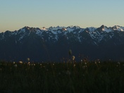 Olympic National Park