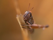 Raindrops Keep Falling on My Head