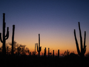 Saguaro National Park West