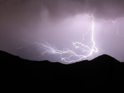Saguaro National Park