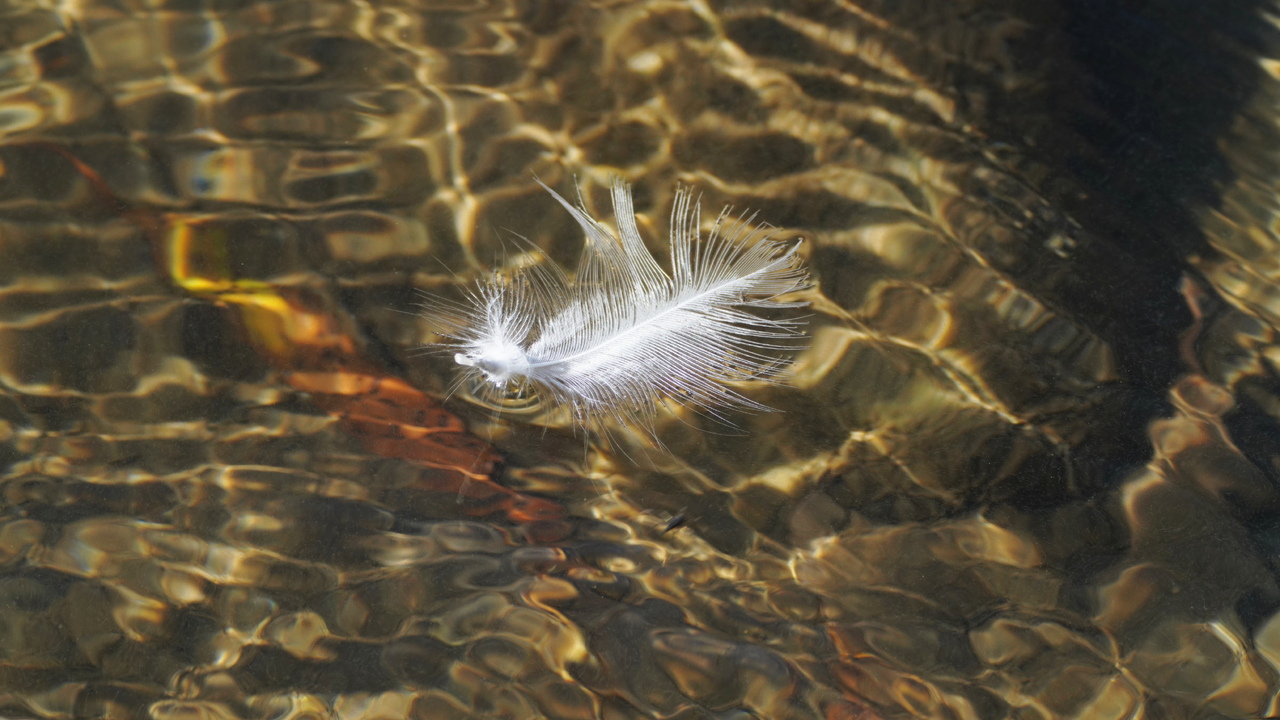 Impromptu masterpiece