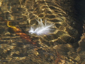 Impromptu masterpiece