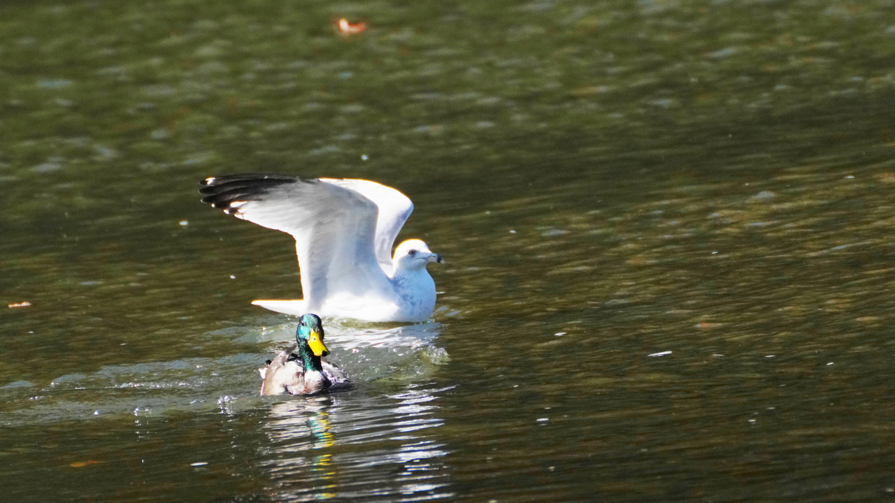 Friends on the river