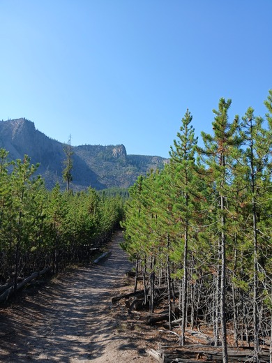 Yellowstone National Park