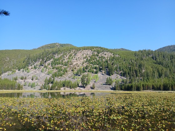 Yellowstone National Park