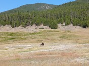 Yellowstone National Park