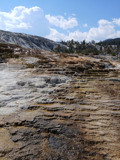 Yellowstone National Park