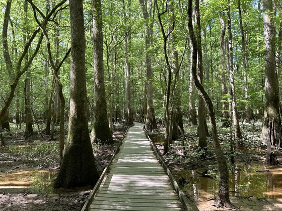 Congaree National Park