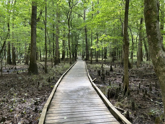 Congaree National Park 