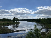 Carolina Sandhills National Wildlife Refuge