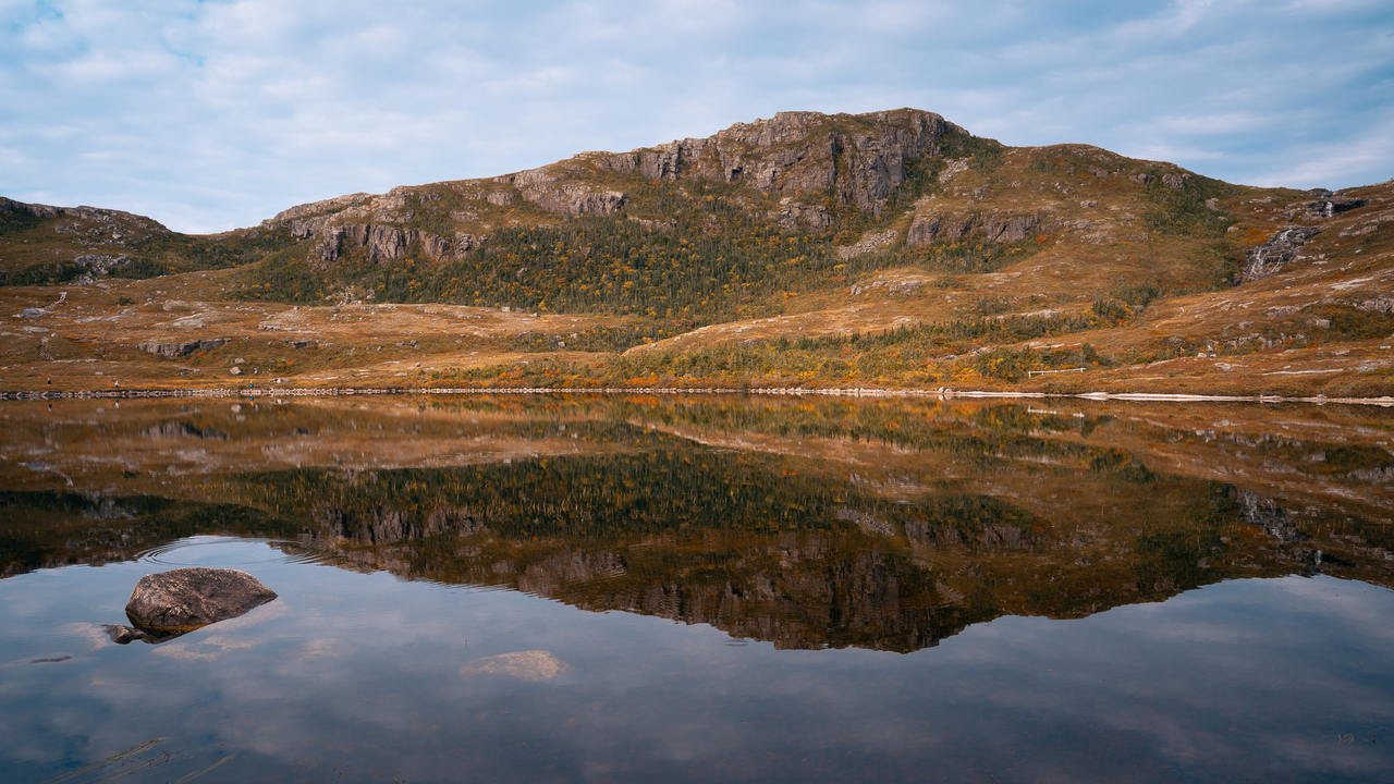 Pond reflections