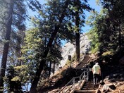 Sequoia National Park 