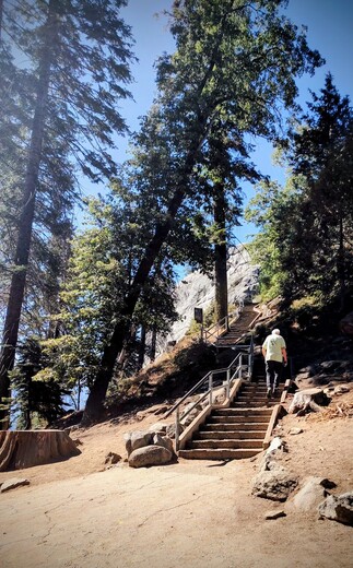 Sequoia National Park 