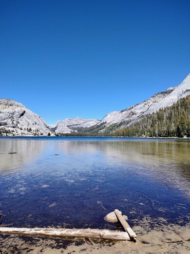 Yosemite National Park 