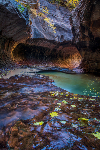 Zion National Park