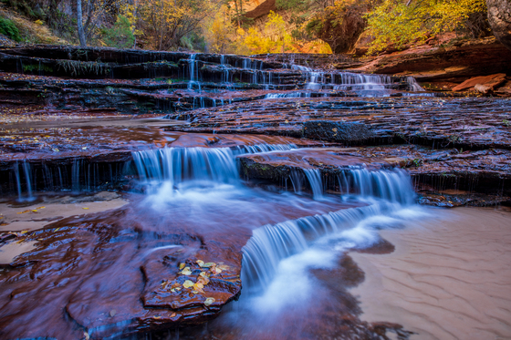 Zion National Park