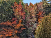 Acadia National Park