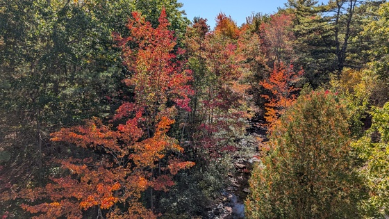 Acadia National Park
