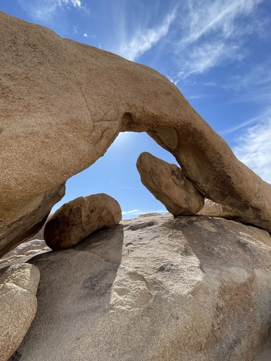 Joshua Tree National Park