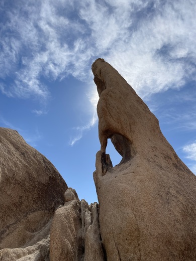 Joshua Tree National Park