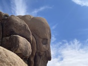 Joshua Tree National Park