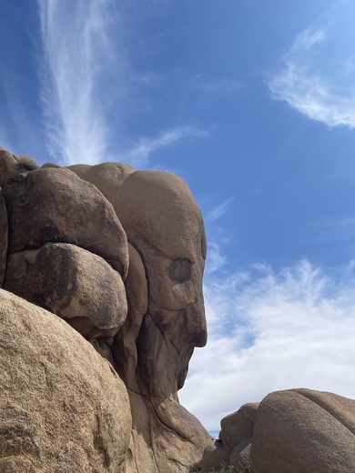 Joshua Tree National Park