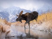 Grand Teton National Park