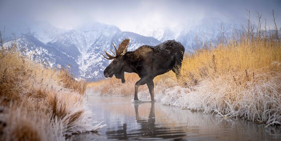 Grand Teton National Park