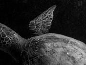 Waters around Makena Landing, Kawaii, Hawaii, USA