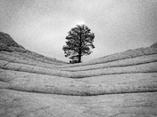 Vermillion Cliffs National Monument