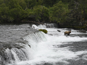 Katmai National Park
