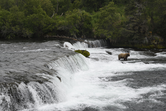 Katmai National Park