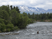 Katmai National Park