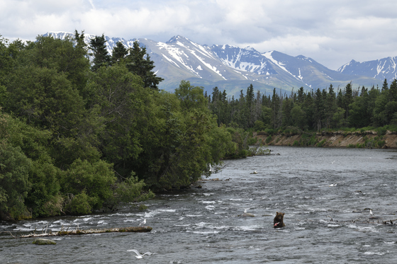 Katmai National Park