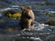 Katmai National Park