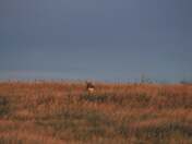 Badlands National Park