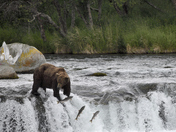 Katmai National Park