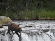 Katmai National Park