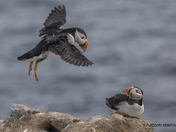 Look OUT BELOWWWWWWWWWWW!!!!!