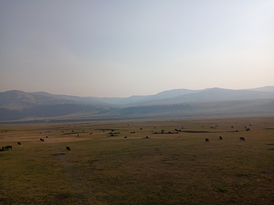 Yellowstone National Park