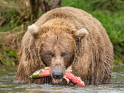 Katmai National Park and Preserve