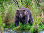Katmai National Park and Preserve