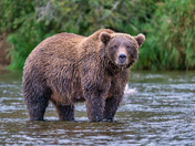 Katmai National Park and Preserve