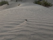 Death Valley National Park