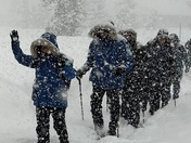 Yellowstone National Park