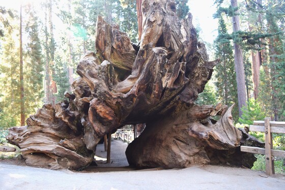 King's Canyon National Park