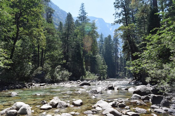 King's Canyon National Park