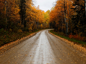 Colorful Gravel Road