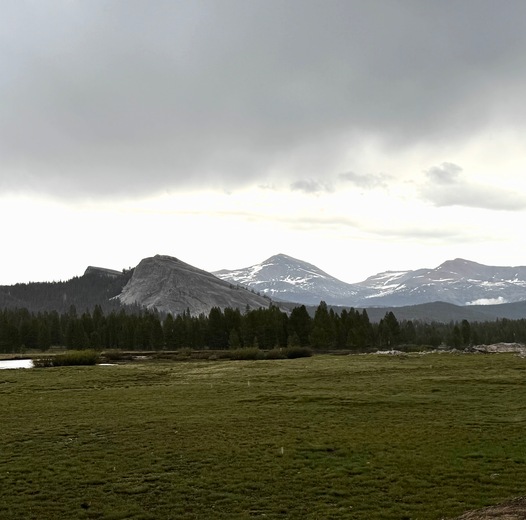 Yosemite National Park