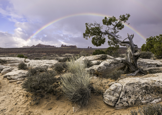 Arches National Park
